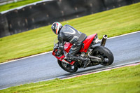 Oulton-Park-14th-March-2020;PJ-Motorsport-Photography-2020;anglesey;brands-hatch;cadwell-park;croft;donington-park;enduro-digital-images;event-digital-images;eventdigitalimages;mallory;no-limits;oulton-park;peter-wileman-photography;racing-digital-images;silverstone;snetterton;trackday-digital-images;trackday-photos;vmcc-banbury-run;welsh-2-day-enduro